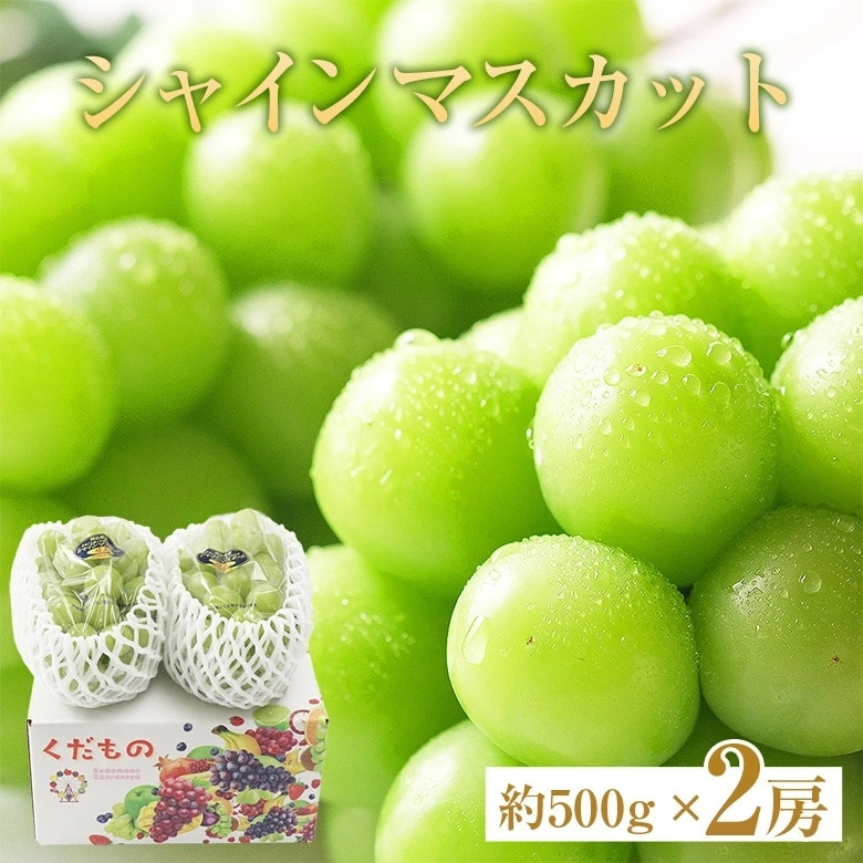 地域厳選シャインマスカット　優品　約500g　2房