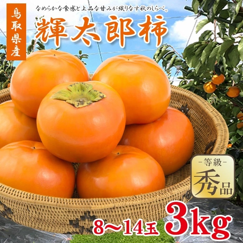 【予約受付】10/1~順次出荷【3kg/8~14玉】《秀品》鳥取県産 輝太郎柿