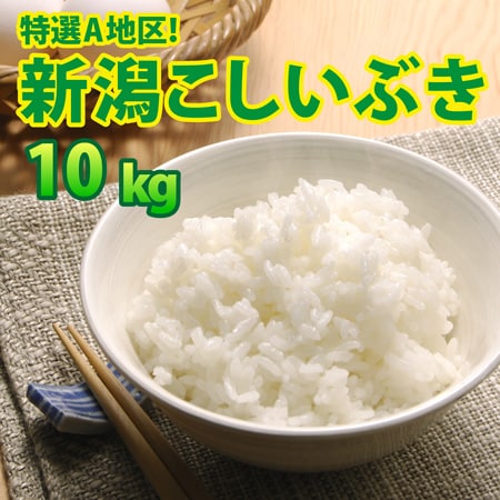 【10kg (5kg×2袋)】令和8年産  大人気 新潟県上越産こしいぶき