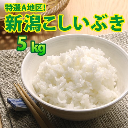 【5kg×1袋】令和8年産   大人気 新潟県上越産こしいぶき