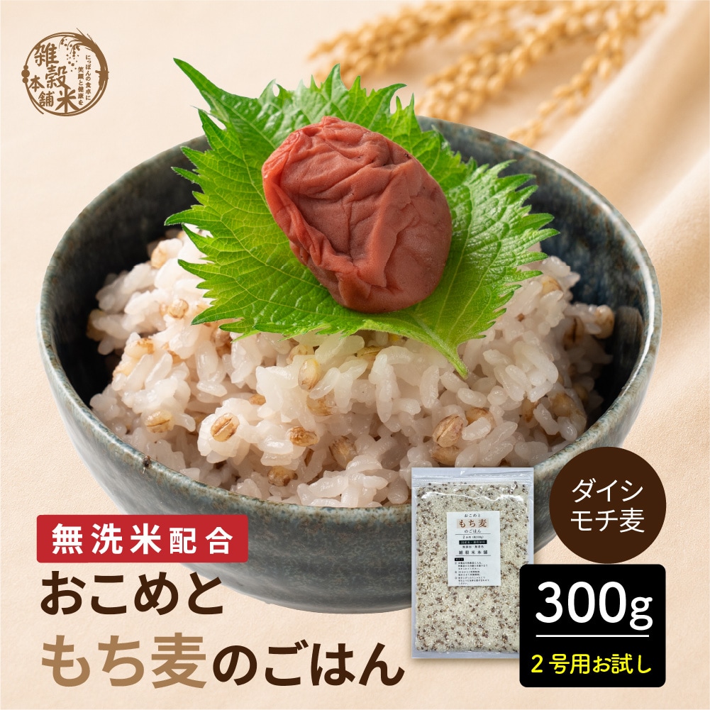 【300g(300g×1袋)】おこめともち麦のごはん（食物繊維をしっかり摂りたい方に）