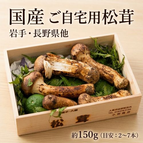 【約150g （目安：2~7本）】国産「ご自宅用 松茸」 岩手・長野県他