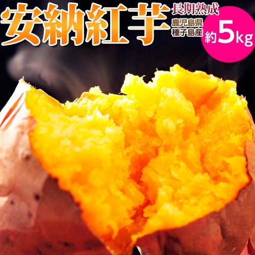 【予約受付】10/19~順次出荷【約5kg】鹿児島県種子島産 長期熟成 『安納紅芋』（正規品）