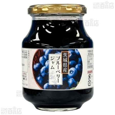 【2個】茨城県産ブルーベリージャム 465g [抽選サンプル]
