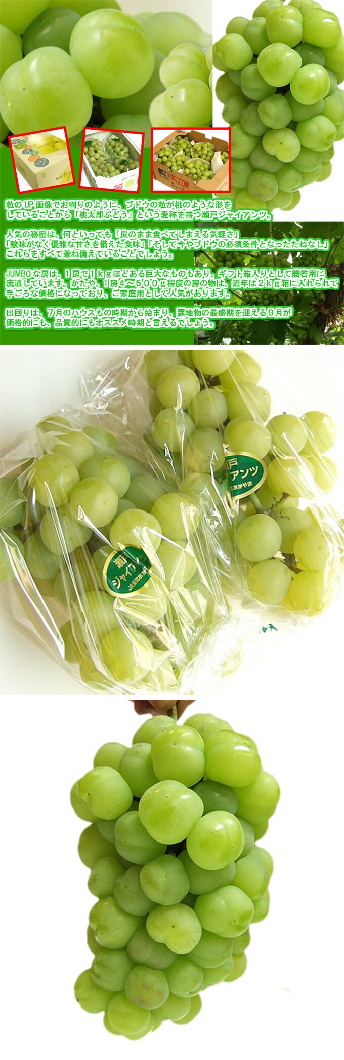 予約受付 瀬戸ジャイアンツ 2房 1kg 1 2kg を税込 送料込でお試し サンプル百貨店 食卓の花