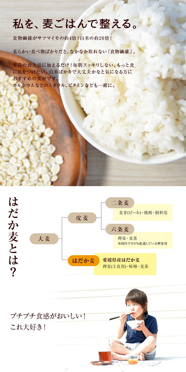 愛媛県産押し麦（はだか 麦100％使用）500gを税込・送料込でお試し