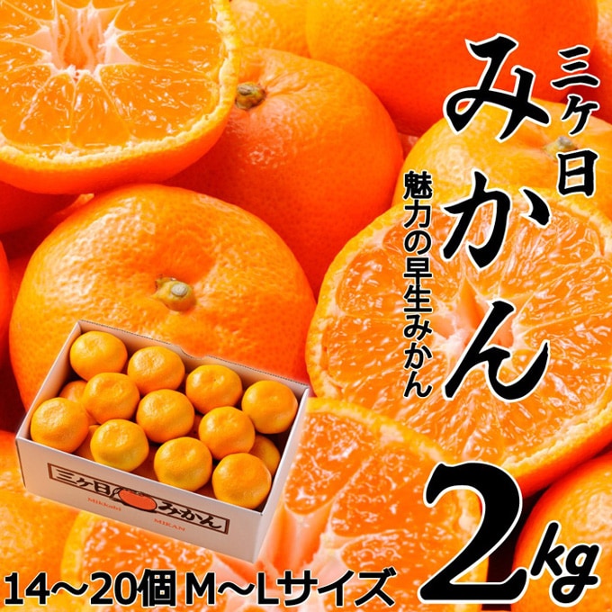 みかんさん専用】サバイバルシリーズ20冊セット 山北みかん南柑20号 超こ