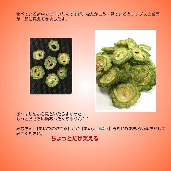 10袋セット ゴーヤチップスを税込 送料込でお試し サンプル百貨店 丹波おおみつや 八庵