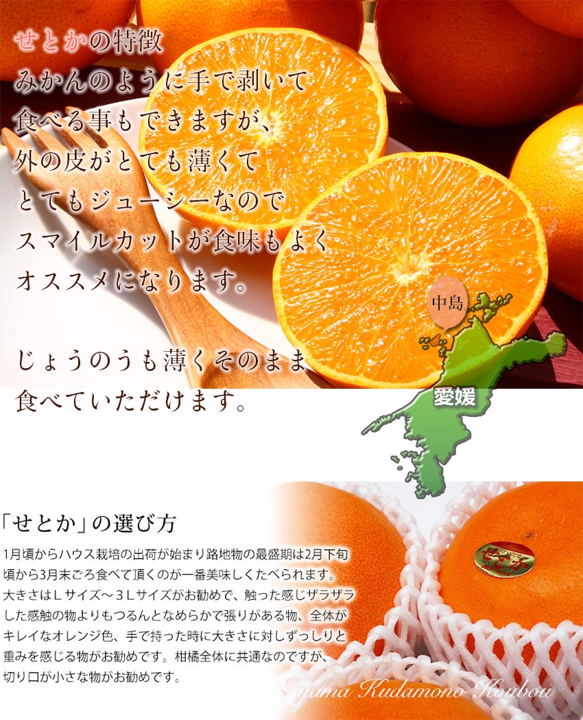 約1.5kg】 せとか 匠と極 みかん 中島産 最上級品を税込・送料込でお