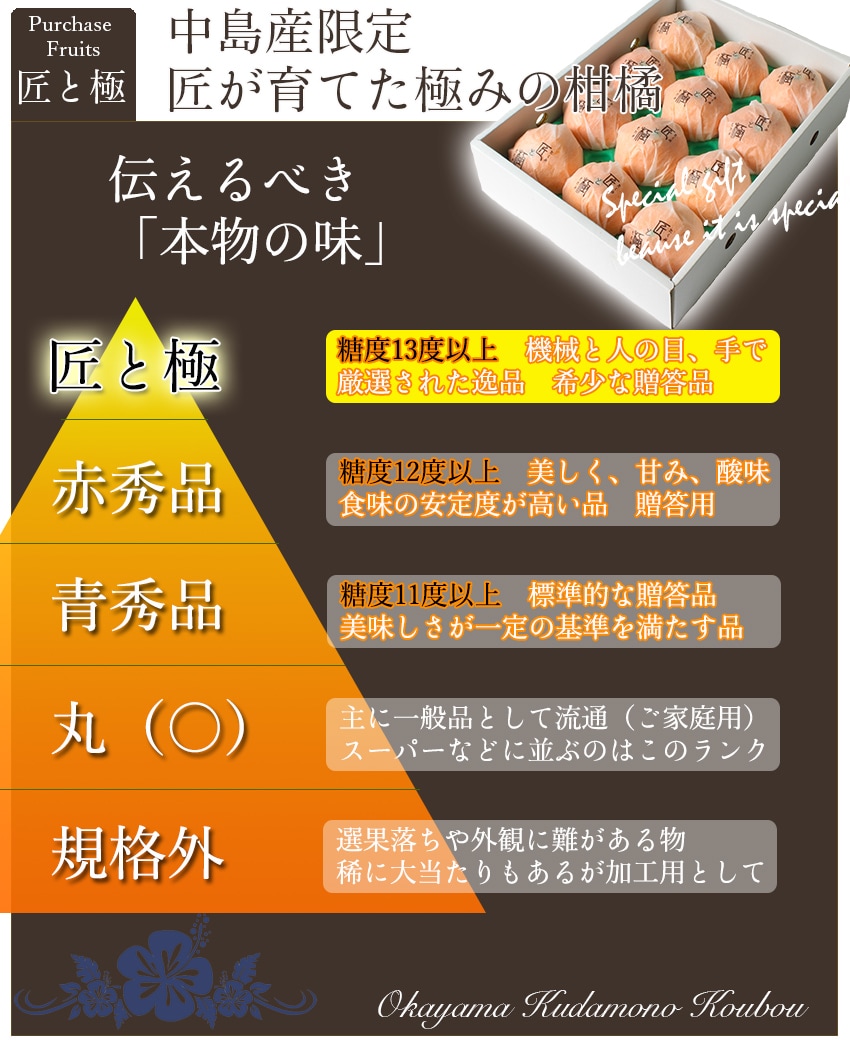 約1.5kg】 せとか 匠と極 みかん 中島産 最上級品を税込・送料込でお