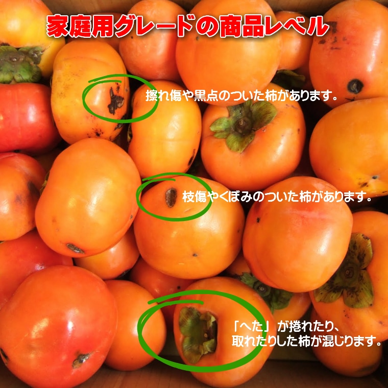 予約受付】11/25~順次出荷【10kg】富有柿（和歌山・奈良）※ご家庭用ー