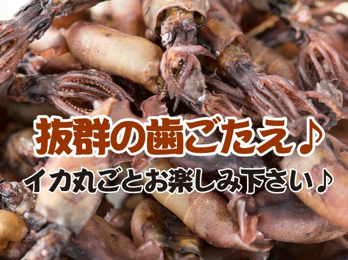 dショッピング |【160g】無添加珍味日本海産イカの煮干まめいか 