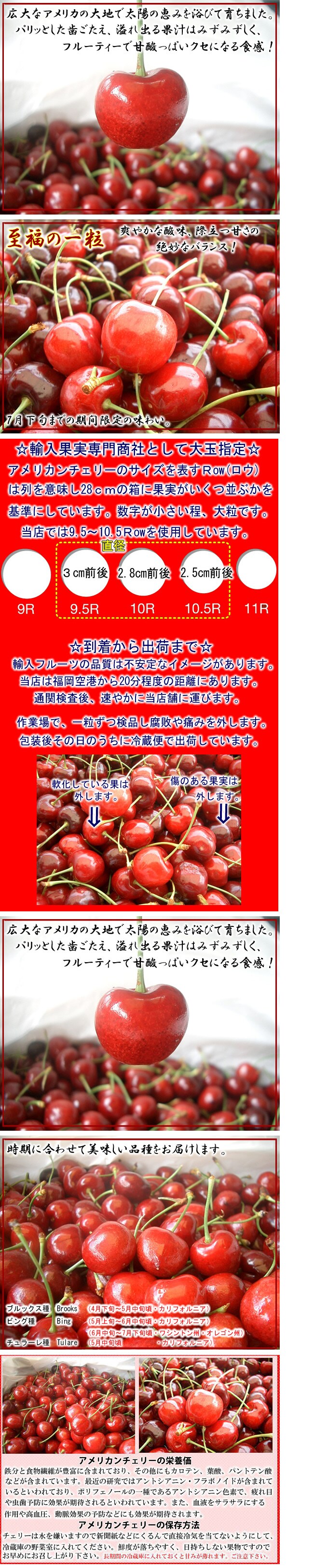 約500g】フルーツ屋さんが選んだアメリカンチェリーを税込・送料込でお 