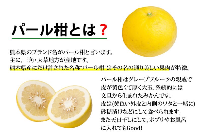 5kg 熊本県産 パール柑 文旦 秀品を税込 送料込でお試し サンプル百貨店 Foody S