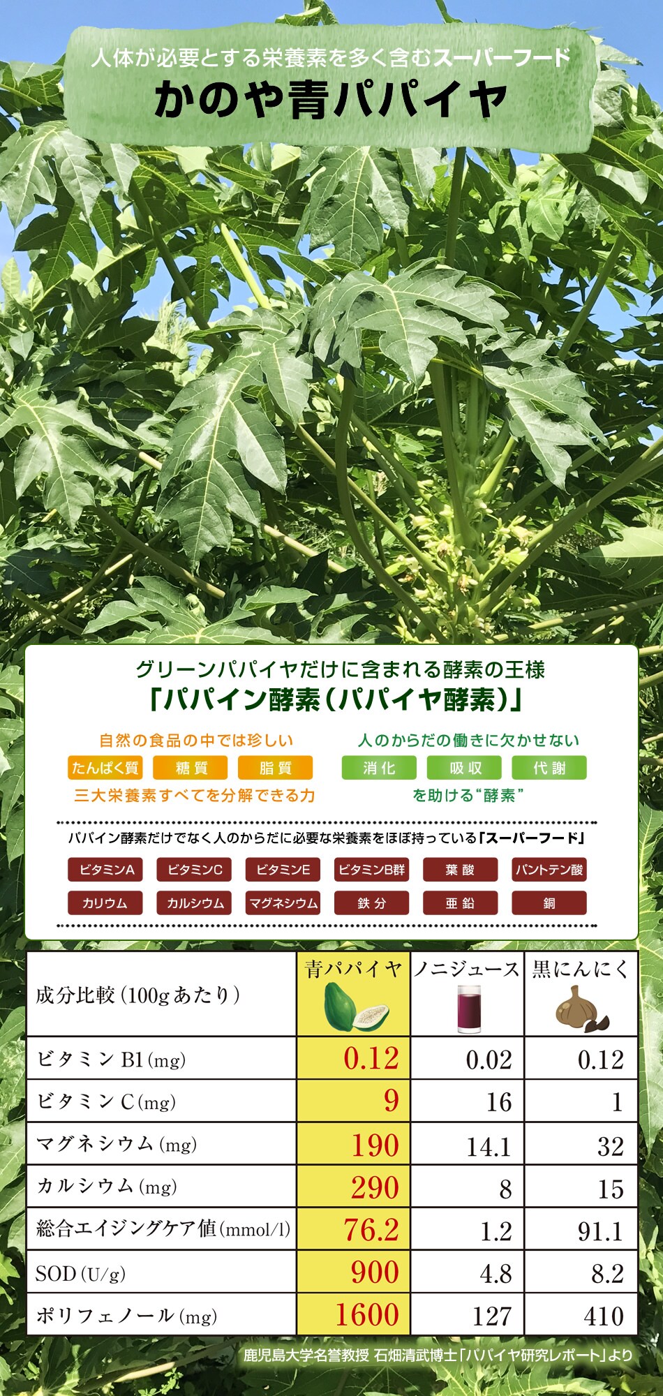 2g 15包 3袋 かのや青パパイヤ 葉っぱ茶を税込 送料込でお試し サンプル百貨店 九州よかど市
