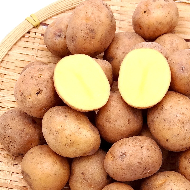 インカのめざめ 北国からの贈り物 北海道 平岡農場 インカのめざめ(SML混合) 5kg