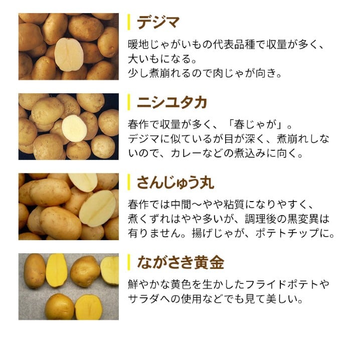 じゃがいも在庫量 約10kg(サイズお任せ)】長崎県産 じゃがいも(ご家庭用、傷あり)を税込