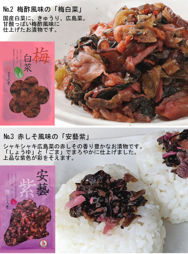 塩ふきひじき 広島菜 100g お漬物 漬物 ひじき 高菜