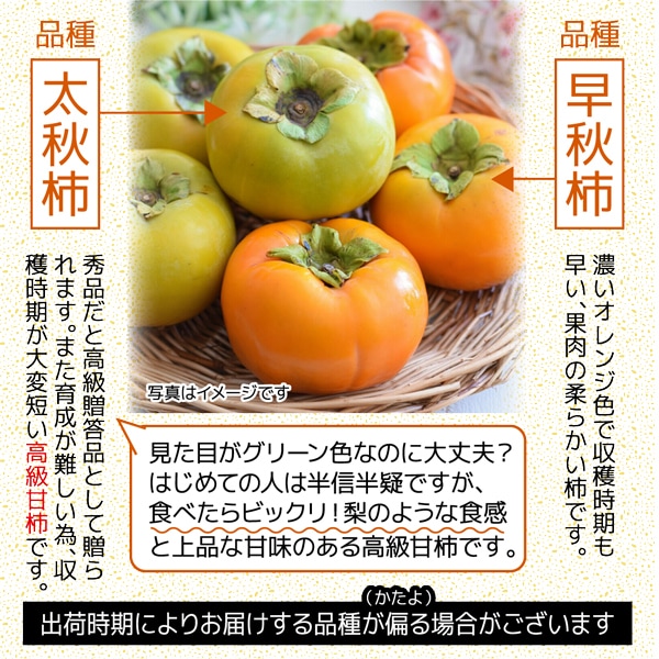 予約】 柿 約4kg 太秋柿 福岡産