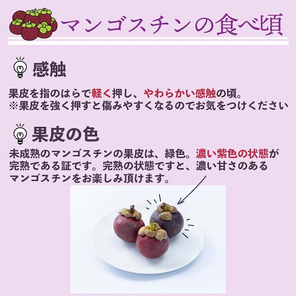 マンゴスチンドリンクTO対策 30本入り 【公式通販】
