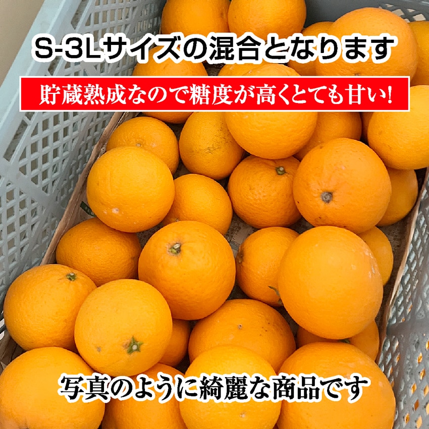 クール便【約3.0kg前後(サイズ不選別】長期熟成 香川県産 清見オレンジ
