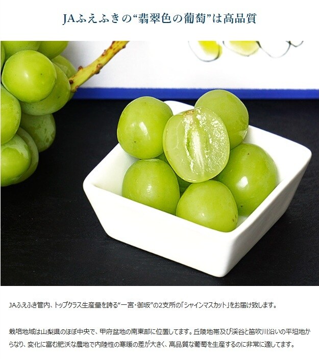 5キロ　シャインマスカット　ほぼ切り落とし 5キロ シャインマスカット ほぼ切り落とし 楽天市場】シャイン