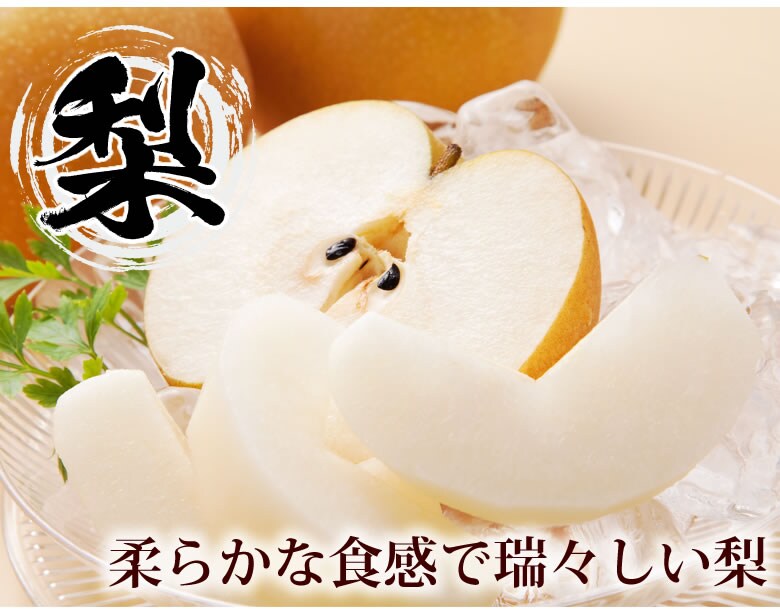 ご予約テラヘルツ　バングル　8-126 温 ダイエット・健康 ご予約テラヘルツ バングル 8-126