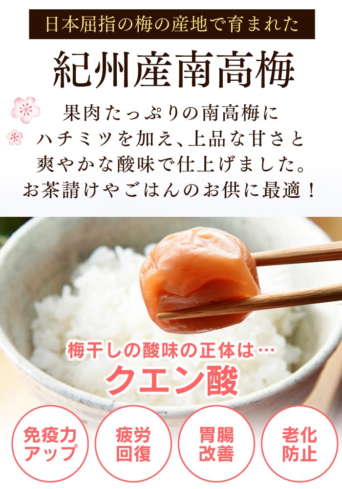 干し梅さん専用　正平革 干し梅さん専用 正平革