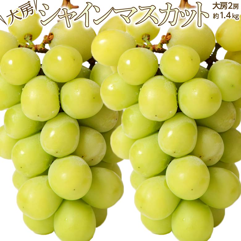 ⚠️クール便 葡萄 サンシャインレッド大房一房 ⚠️クール便