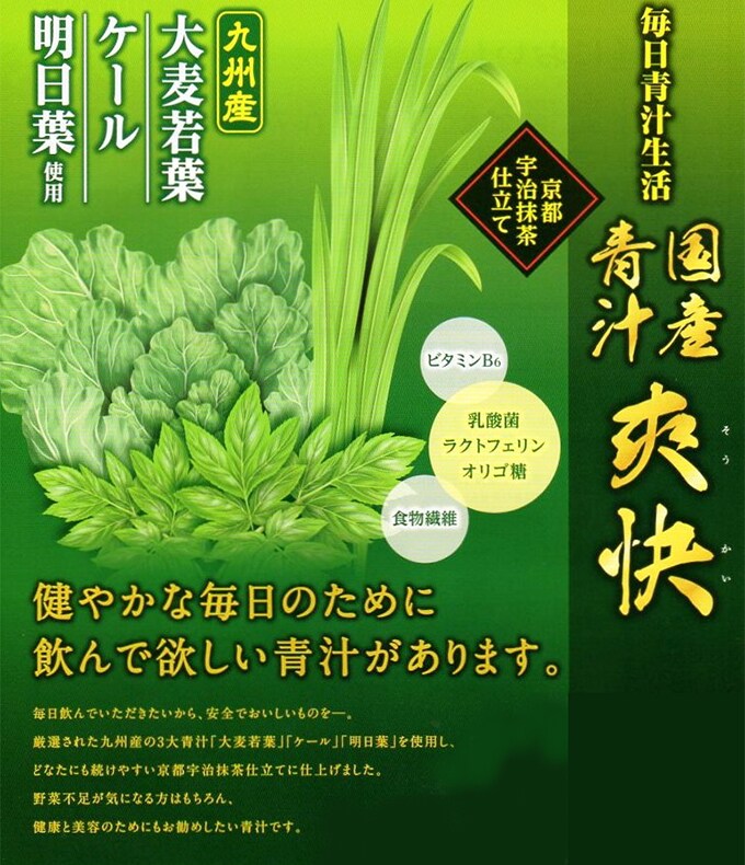 青汁24袋　京都宇治抹茶仕立て　乳酸菌　ラクトフェリン　オリゴ糖　食物繊維