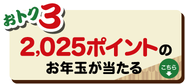 おトク3|2,025ポイントのお年玉が当たる!